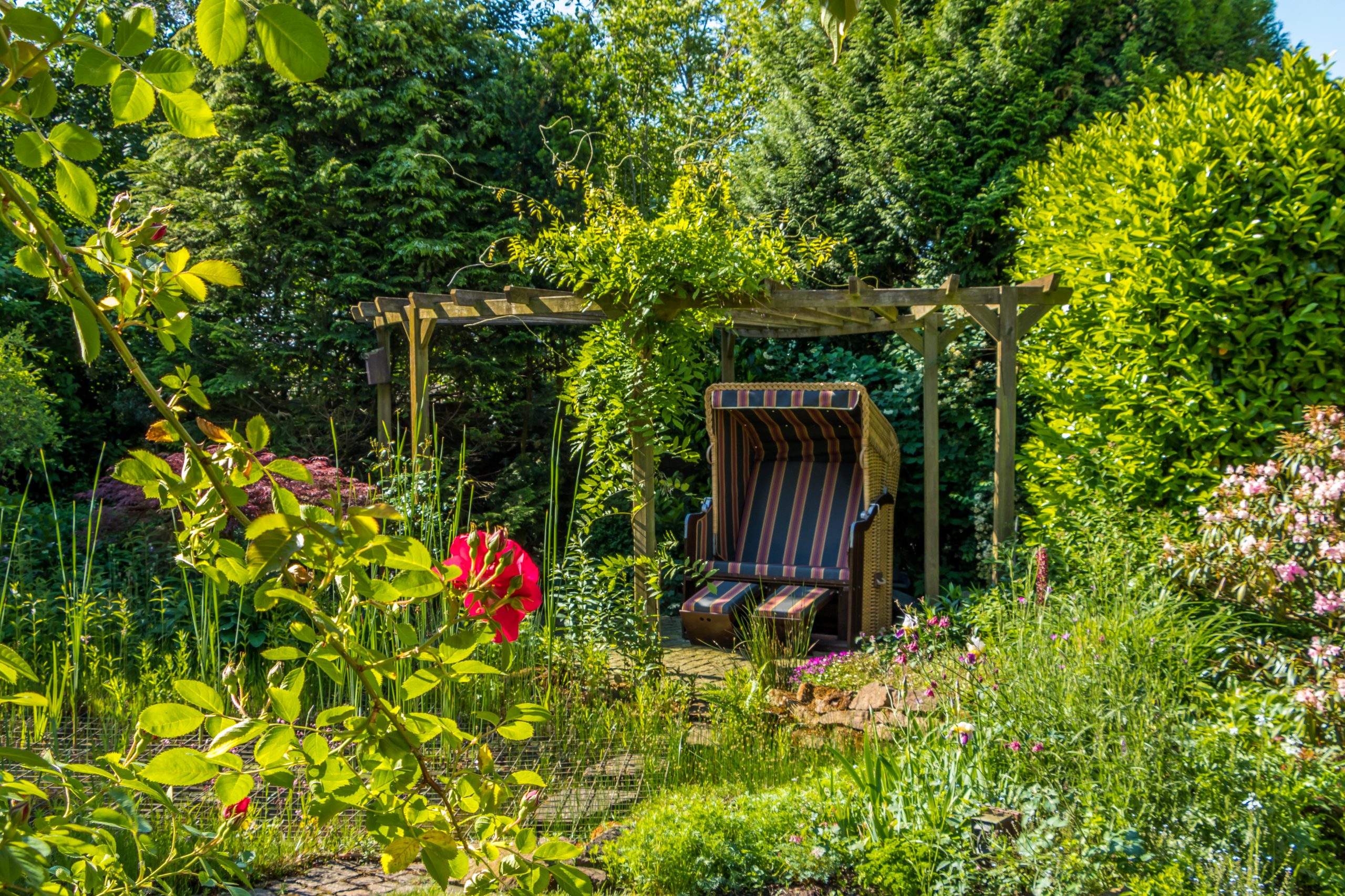 Fotografie Willkommen auf Brinkhues.de